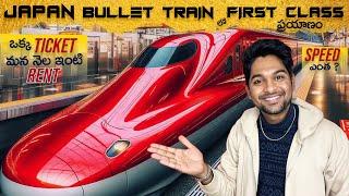 This ticket cost is equal to 1 month's house rent | Journey in Japan's FIRST-CLASS BULLET TRAIN 2024