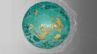 Институт дополнительного профессионального образования