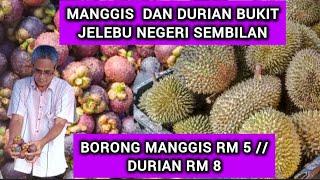 LUBUK  MANGGIS DAN DURIAN BUKIT MURAH JELEBU NEGERI SEMBILAN