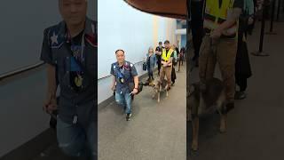 Carnival Jubilee POV: The Dogs Hate Beaver Nuggets! #carnivaljubilee #carnival  #bucees #galveston