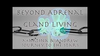 Beyond Adrenal Gland Living: Karma, Grief, Love and Self Discovery - Adventures Into Reality REPLAY