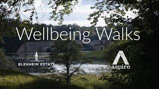 Wellbeing Walks - research steps to health impact