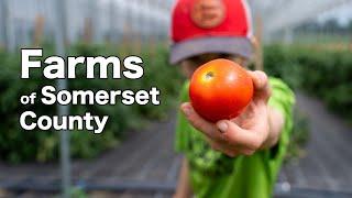 A Look Into: Somerset County's Preserved Farms