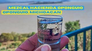 Descubre el Mejor Mezcal de Michoacán: Oponguio