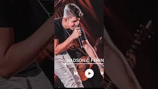 a culpa é nossa nadson o ferinha #musica #viral #fy ##nadsonoferinha