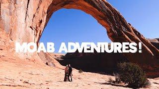 Dog Friendly Hike in Moab to THREE Arches, including Corona Arch! (+Dinosaur Tracks + Petroglyphs)