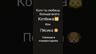 20 апреля 2025 г.