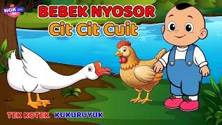 Lagu Anak Viral - CIT CIT CUIT - Lagu Anak Populer - Animasi Bebek Nyosor