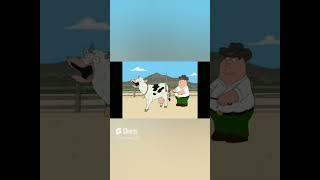 peter loves branding cows #comedy #funny #familyguy #viralvideo #love #trending #trendingshorts