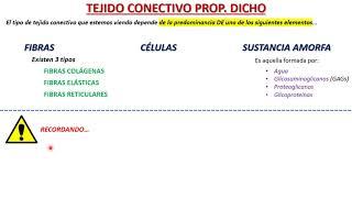 Tejido conectivo propiamente dicho + anécdota