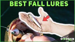 BEST 5 FALL Fishing LURES! ( Bass Fishing Tips )