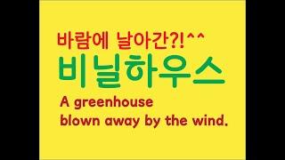 비닐하우스 만들기 도전! #greenhouse #귀농 #귀촌 #goodLife #텃밭 #vegetableFarm #도전 #비닐하우스 #사상누각 #沙上樓閣 #시행착오 #실패