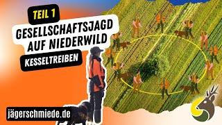 Gesellschaftsjagd auf Niederwild - Kesseltreiben (Teil 1/2)  Jagdpraxis leicht erklärt