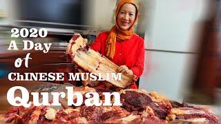 A day of Chinese Muslim Qurban Festival| Eid ul azha 2020 | bakra Eid 2020| 2020古爾邦節