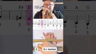 How to play G Major scale on Trumpet