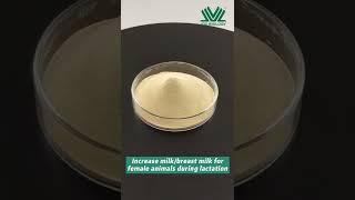 Feed addictive bacteria bacillus subtilis.
