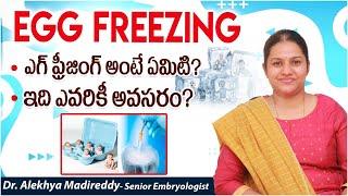 ఎగ్ ఫ్రీజింగ్ | Egg Freezing Procedure in Telugu | Oocyte Cryopreservation | Top Fertility Doctors