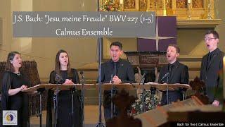 J.S. Bach: "Jesu meine Freude" BWV 227 (1-5) | Calmus Ensemble