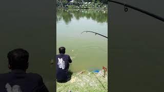 Angling #fishing #fishingsport #pastime #fishcatching #fish #Pesca #pêche #carpfishing