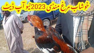 aseel murghon ki mandi khushab,khushab mandi,aseel murga mandi,aseel murga mandi 2022,hussain tv