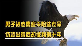 黑龙江男子被老鹰追杀险些丧命，出院后却被判刑十年，怎么回事？
