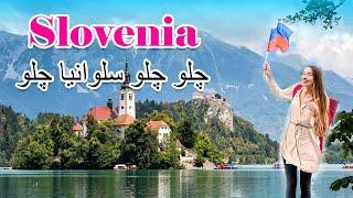 Slovenia Visa چلو چلو سلوانیا چلو  Slovenia Free Visa | Slovenia Job | Immigration