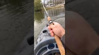 Grass Carp on a Crappie Jig