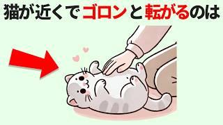 【猫の愛情サイン15選】帰宅して愛猫を抱きしめたくなる瞬間（前編） #猫 #かわいい #猫あるある