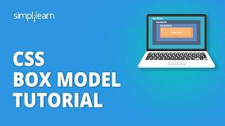 CSS Box Model Tutorial  CSS Box Model Explained  CSS Tutorial For Beginners  Simplilearn