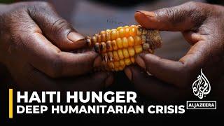 Hunger in Haiti: Half the country's population facing food insecurity