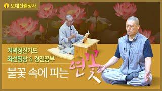 불꽃속에피는연꽃 12월 9일 저녁정진기도 | 스님과 함께하는 경전공부 및 좌선명상 | Guided Daily Meditation