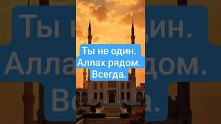 Ты не один. Аллах рядом. Всегда. #напоминание #shorts