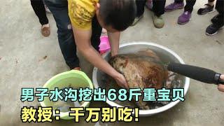 男子水沟挖出68斤重宝贝，疑似“太岁”，教授：千万别吃！纪录片