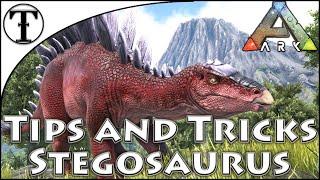 Fast Stegosaurus Taming Guide :: Ark : Survival Evolved Tips and Tricks