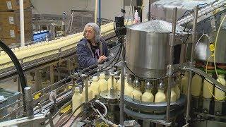 Farm to bottle: how eggnog is made