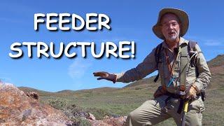 Finding Feeder Structures