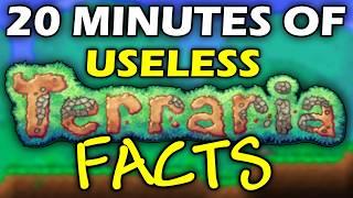 20 Minutes Of Useless Terraria Facts