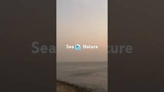 Arabian Sea  #nature #beachlife #waves