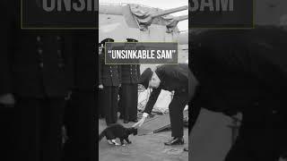 History’s Famous Cats: Unsinkable Sam