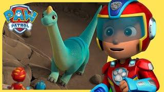 Best Dino Rescues and Mighty Pups Missions ️ | PAW Patrol | Cartoons for Kids