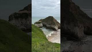 Flamborough Head Cliffs and Lighthouse + Seals #shorts