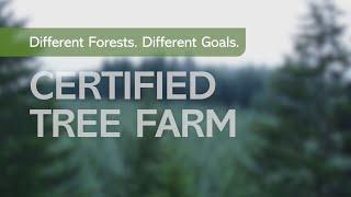 Different Forests. Different Goals. Certified Tree Farm