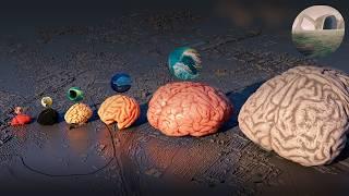 Monster Brain Size Comparison | EL GRAN MAJA Vs SEA EATER
