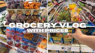 Relaxing Realistic grocery haul + prices | Grocery Vlog | Everyday with Ana