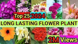 25 Long Lasting Container Flower Plants | Best Container Long Lasting Flower | Plant and Planting