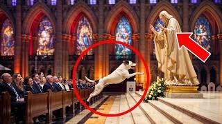 DOG BARGES INTO MASS, BARKING AT THE STATUE OF SAINT JOHN PAUL II. WHEN HE STOPS, SOMETHING HAPPENS.