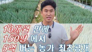 초고소득 창출! 150평에서 5억을 버는 농가 최초 공개합니다 #귀농 #귀촌 #정원