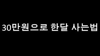 [직장인 재테크?] 30대 직장인이 30만원으로 한달 사는법은??