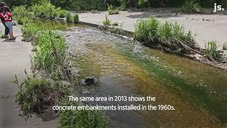 Kinnickinnic River in Milwaukee rebounds after restoration efforts