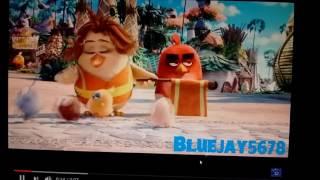 For bluejay5678